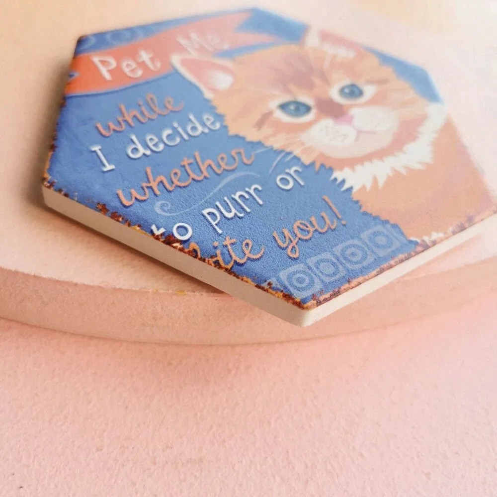 Playful Pet Me Ginger Cat Blue Ceramic Coaster